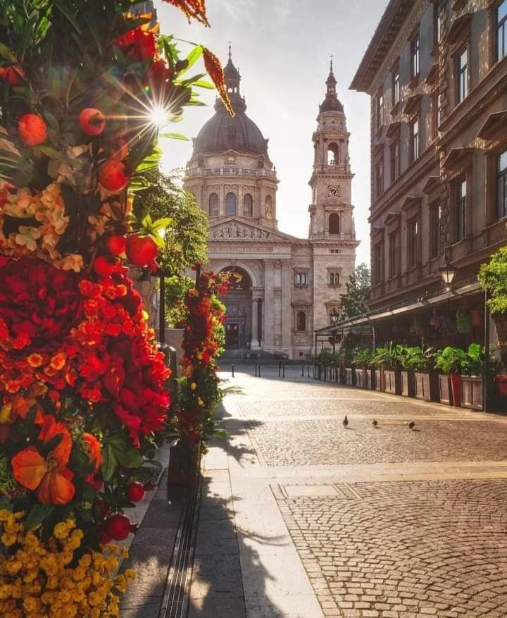 Downtown Elegance Leilighet Budapest Eksteriør bilde